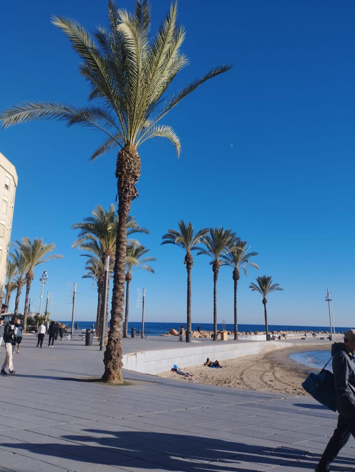 Просторная Квартира Рядом С Морем В Хорошем Районе Torrevieja Exterior foto